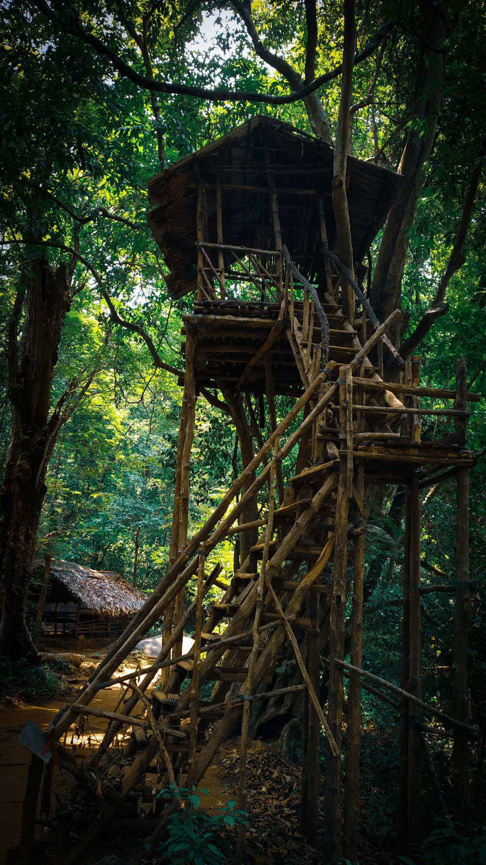 a wooden structure in the middle of a forest