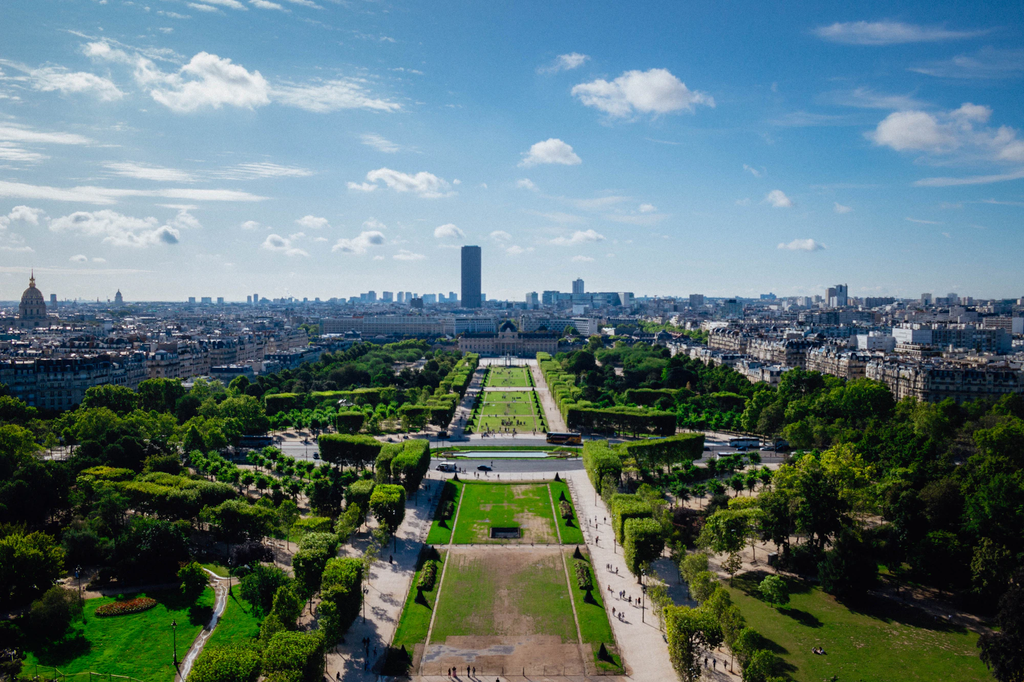 Verdant park seen from the sky, abstract canopy pattern