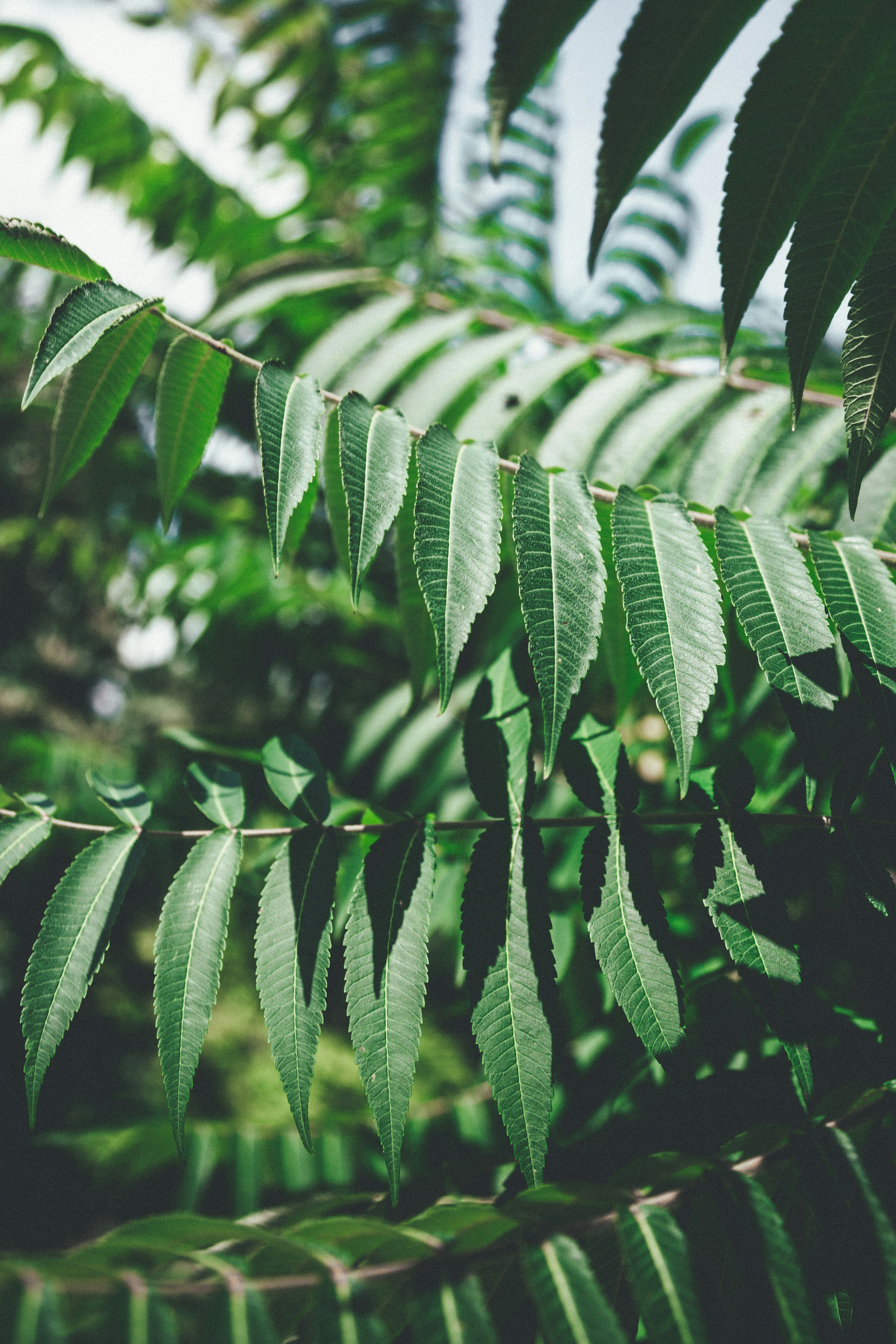 Photo by marjan_blan