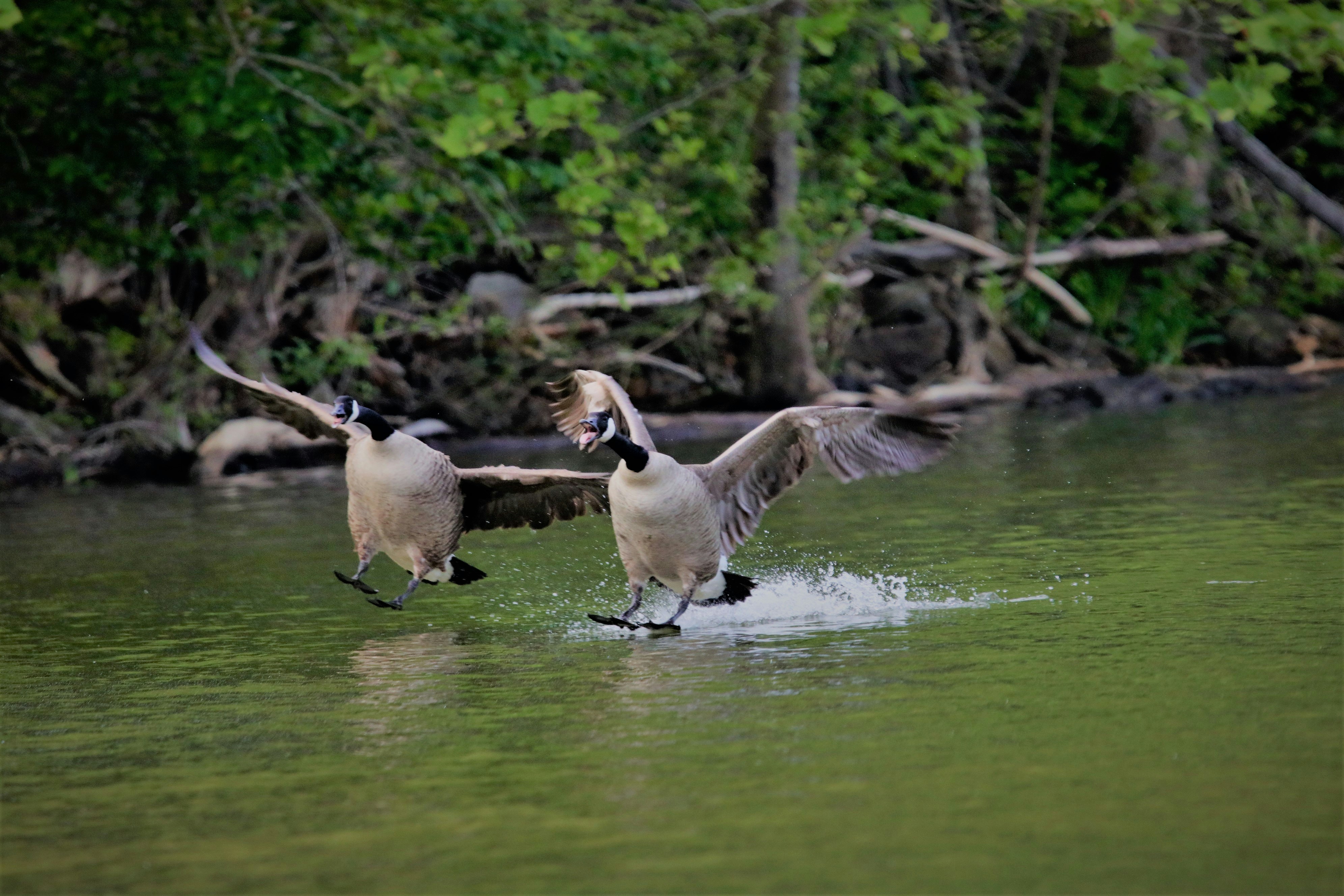 Photo by journeyman3030