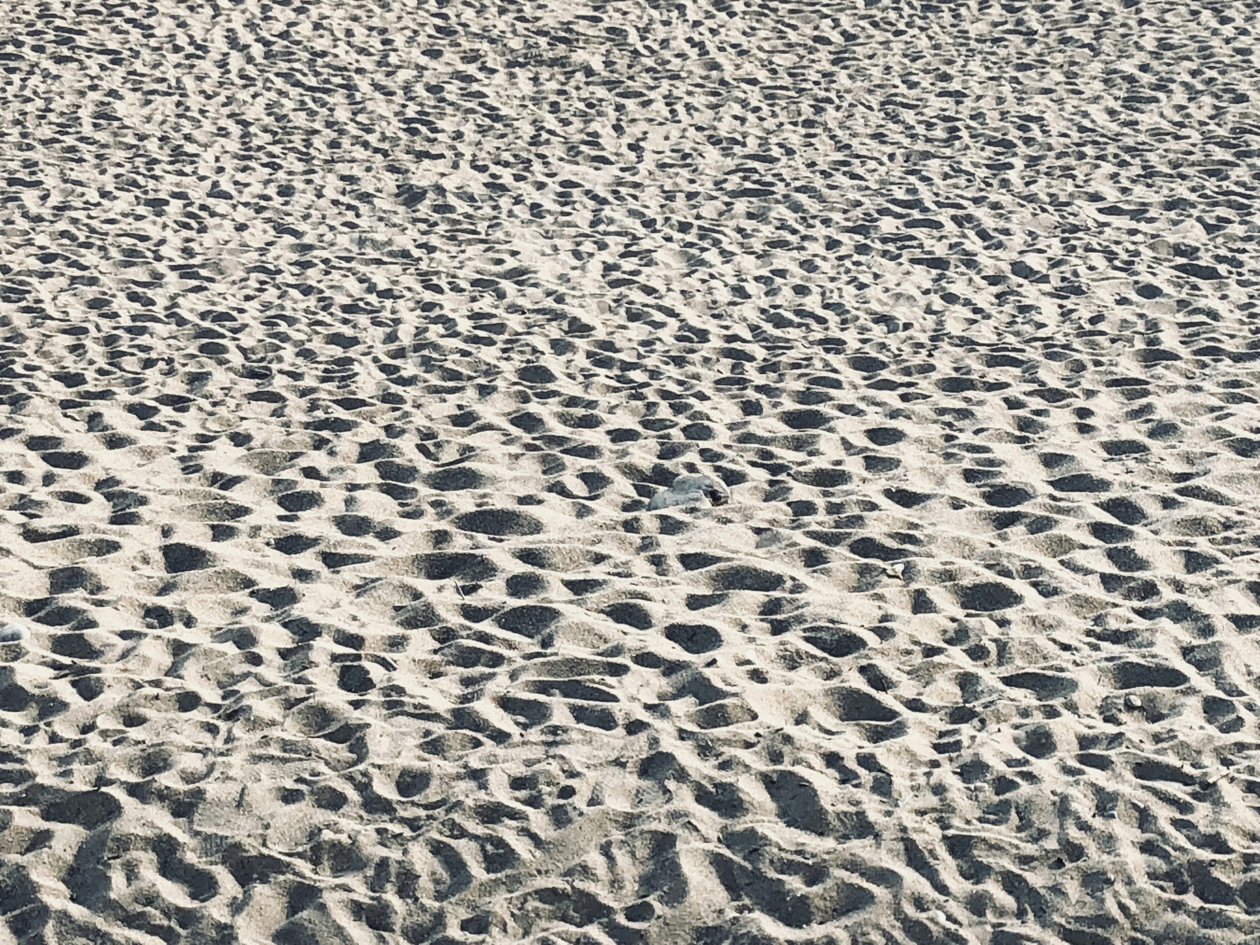 Photo by lauratautan1