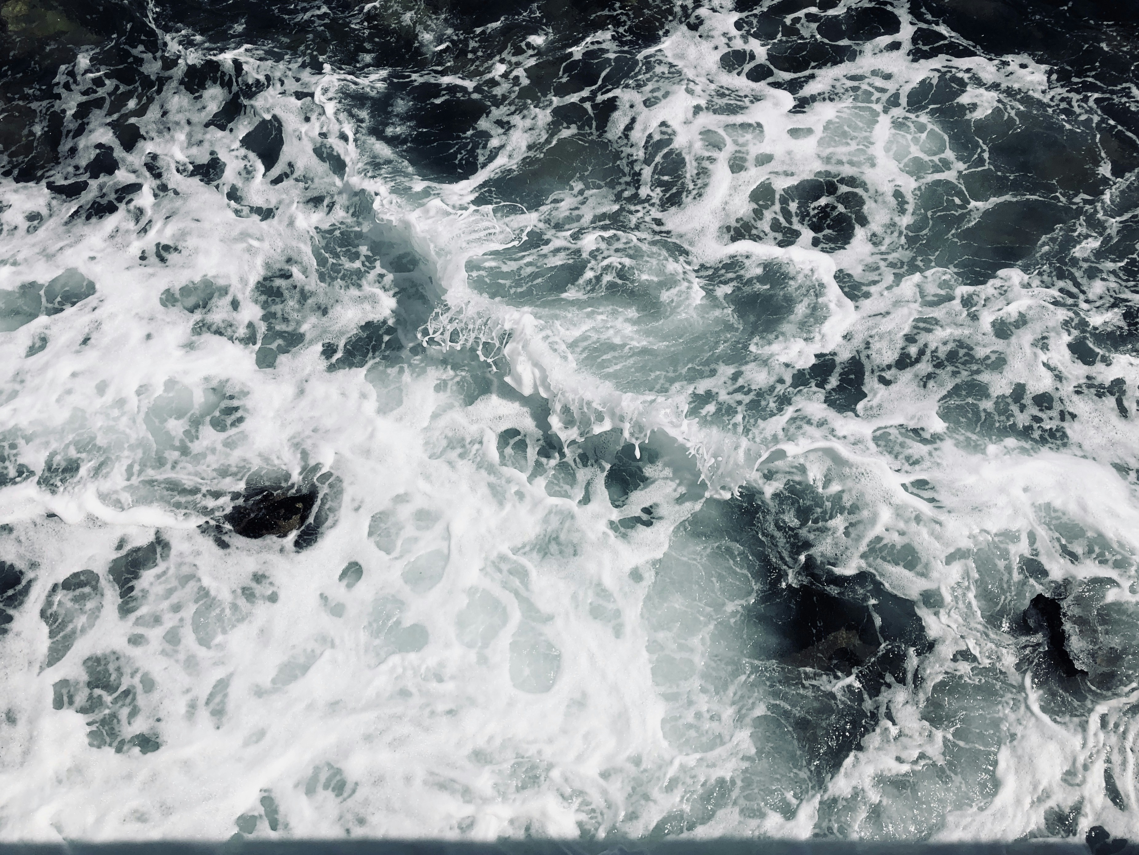 Photo by lauratautan1