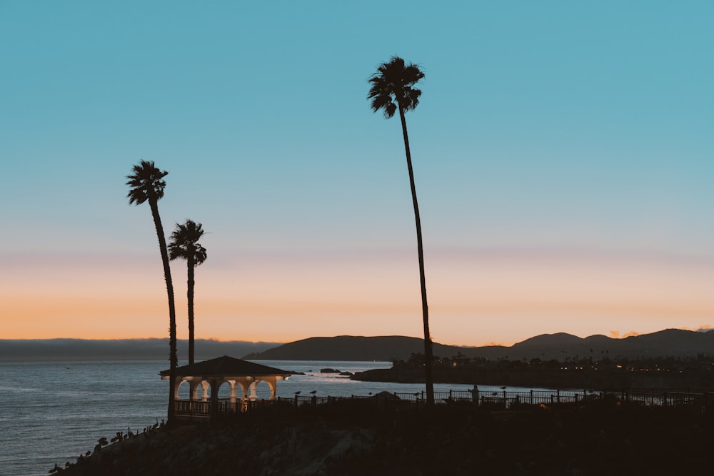 trees and gazebo on island during day