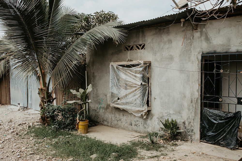 gray concrete house beside coconut tree