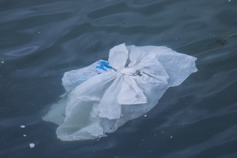 weiße Plastiktüte auf Wasser