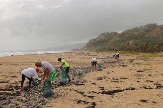 Volunteers cleaning a beach shoreline with ocean in the background.