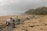 A group of people are cleaning up debris on a sandy beach with cloudy skies. The beach has scattered driftwood and seaweed, and there are hills and palm trees in the background.