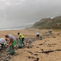 people picking garbage near beach