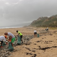 people picking garbage near beach