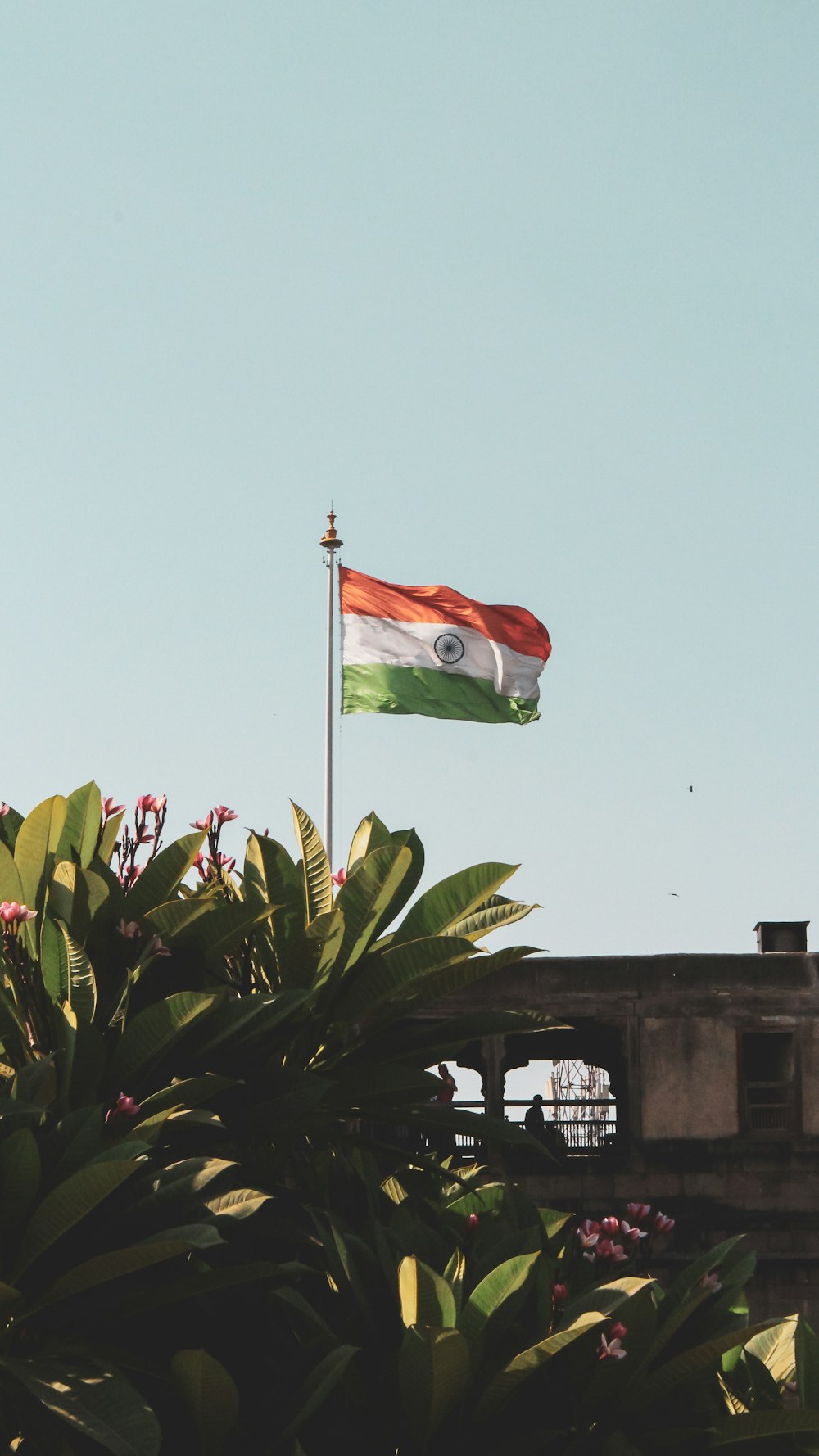 Indian flag waving near building