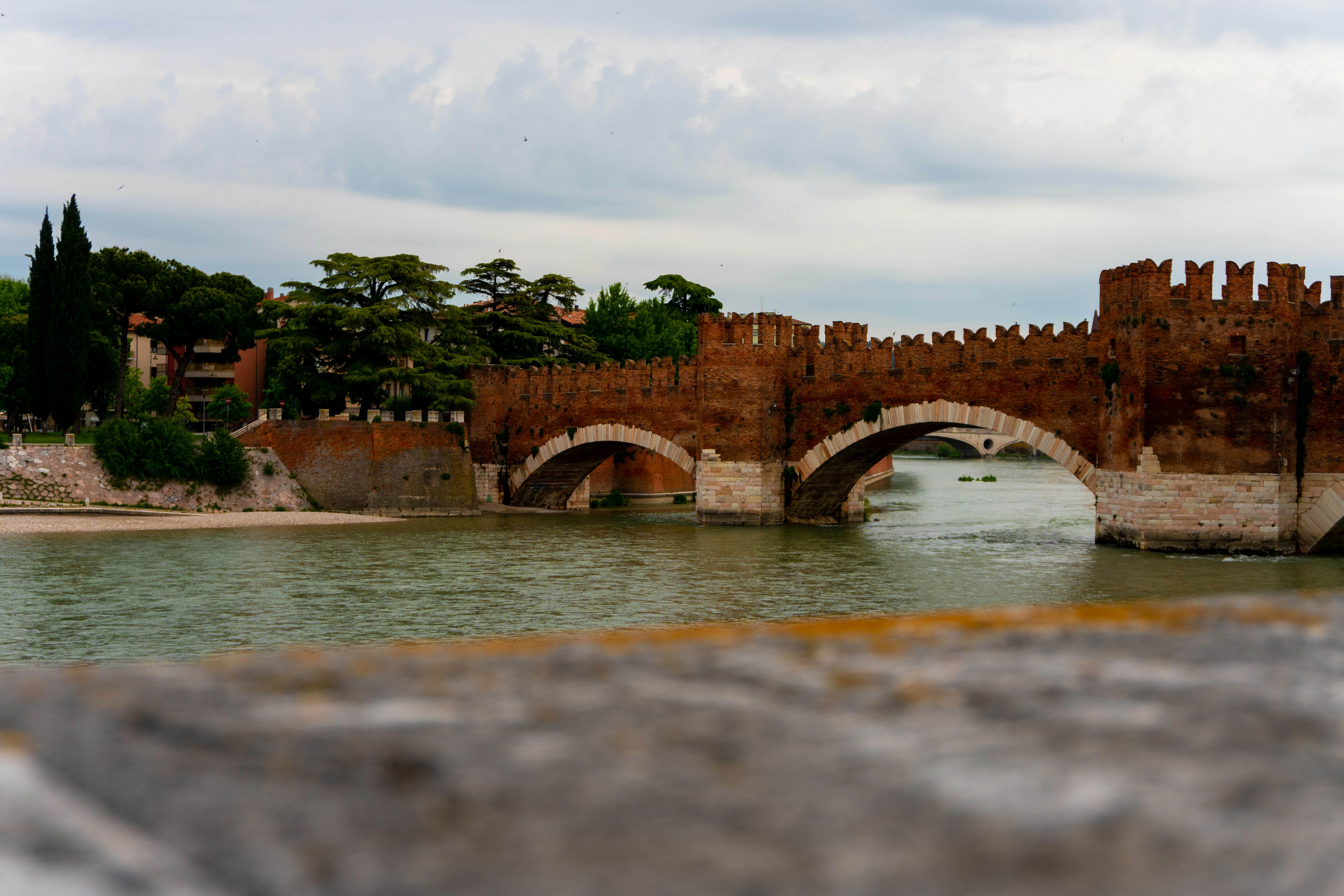 Photo by ivannavinni