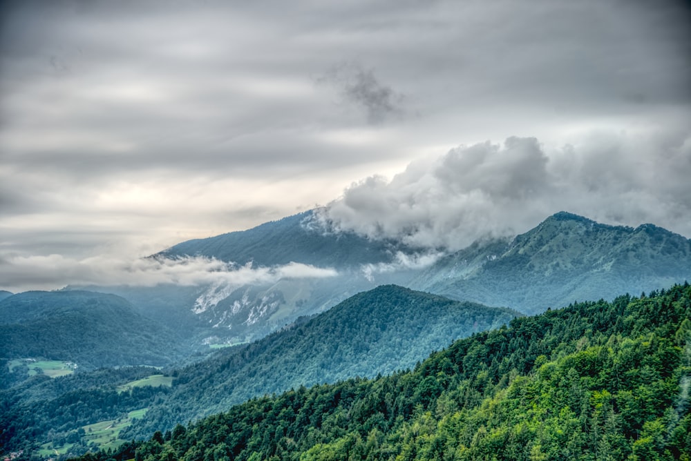 mountains covered with trees under white clouds