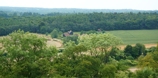 e-Bike tour of Srrey includes sites like this.
