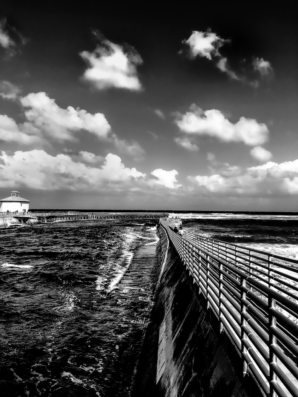 grayscale photography of sea