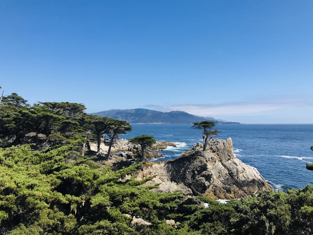 sea under clear blue sky