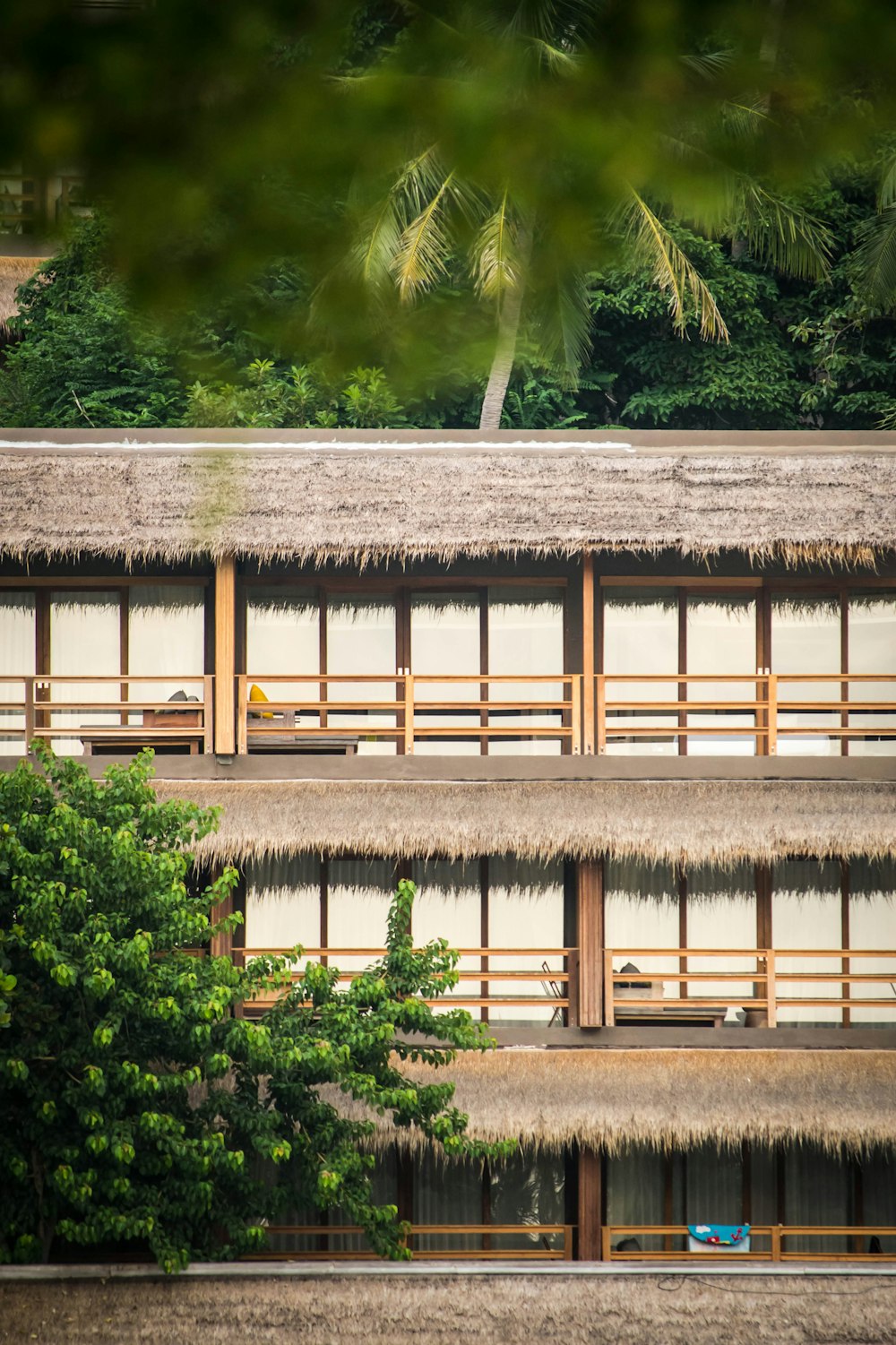 brown and white wooden building