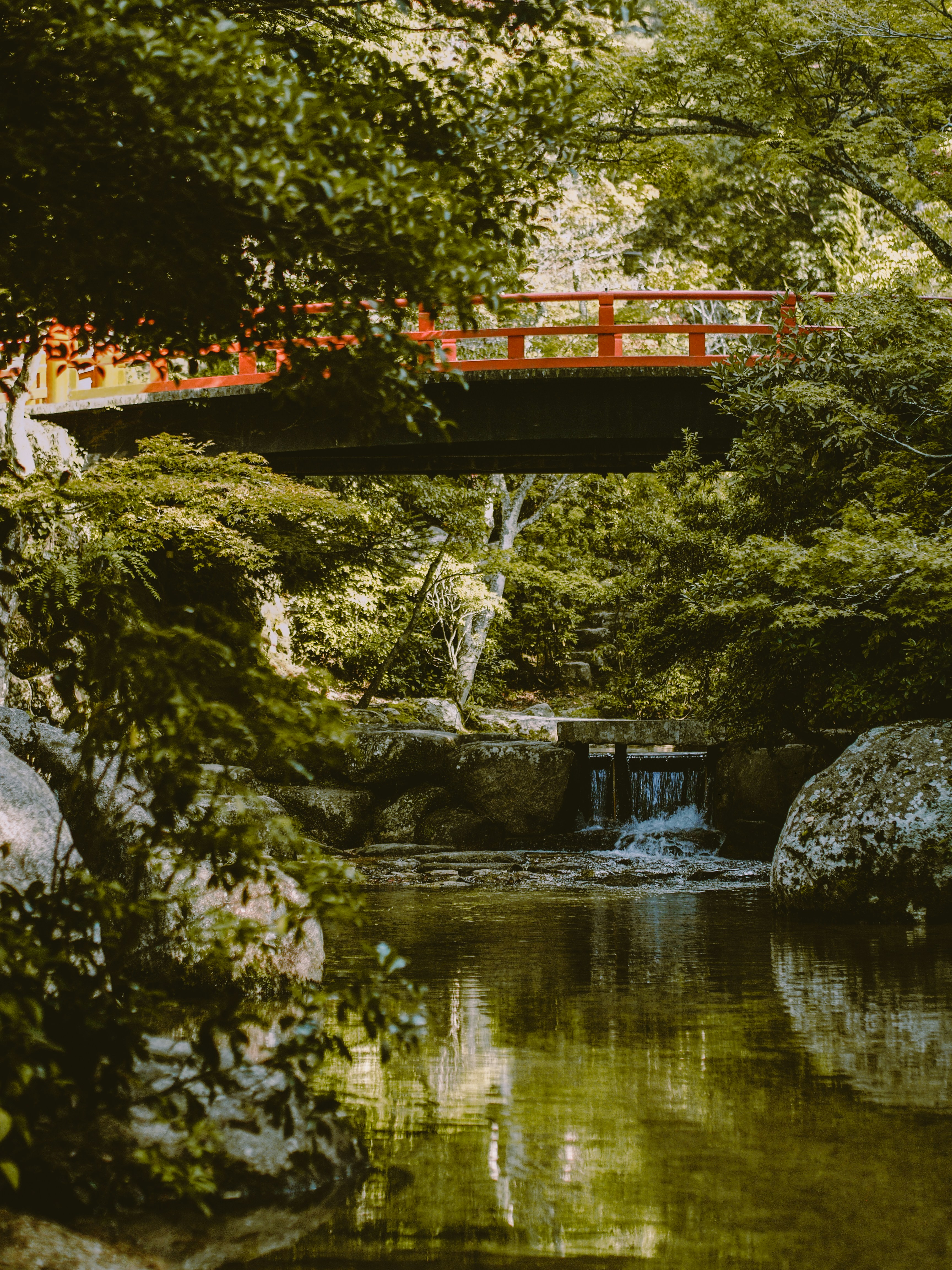 brown and black bridge