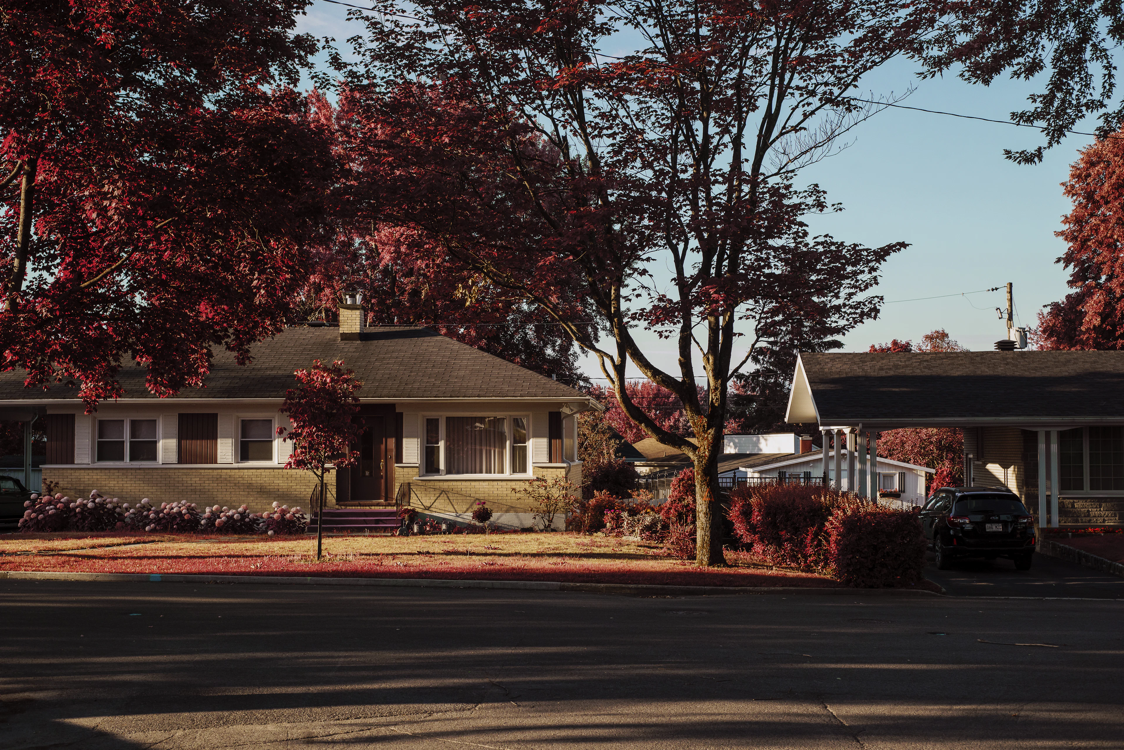 Duplexes