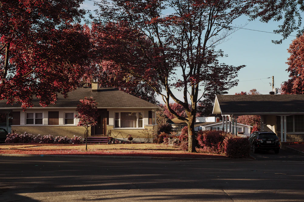 Buy, refinance, or take cash out