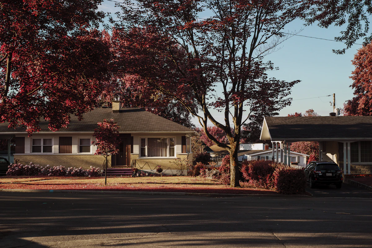 A quiet residential street with houses set back from the road