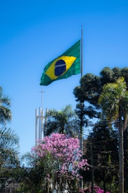 green and yellow flag on pole