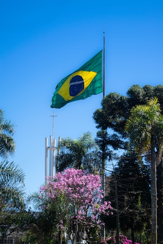 green and yellow flag on pole