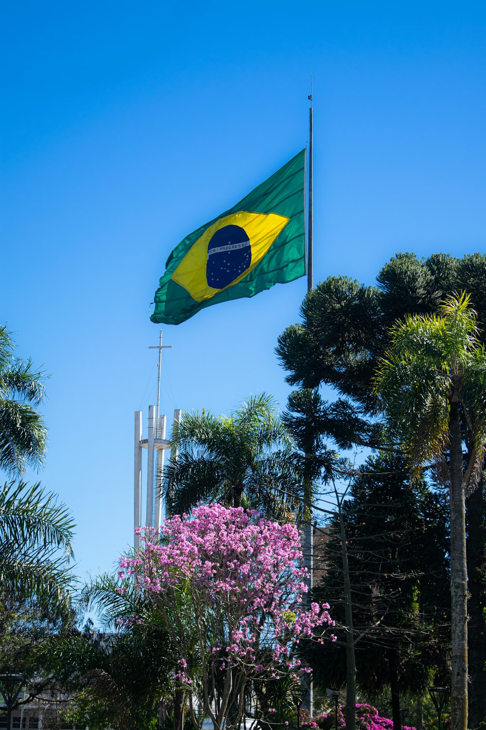 green and yellow flag on pole