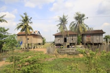 Three wooden stilt houses are surrounded by lush greenery and palm trees under a cloudy sky. The houses are elevated, possibly to avoid flooding, and are constructed with simple materials. Laundry is seen hanging, and the area appears rural and serene.