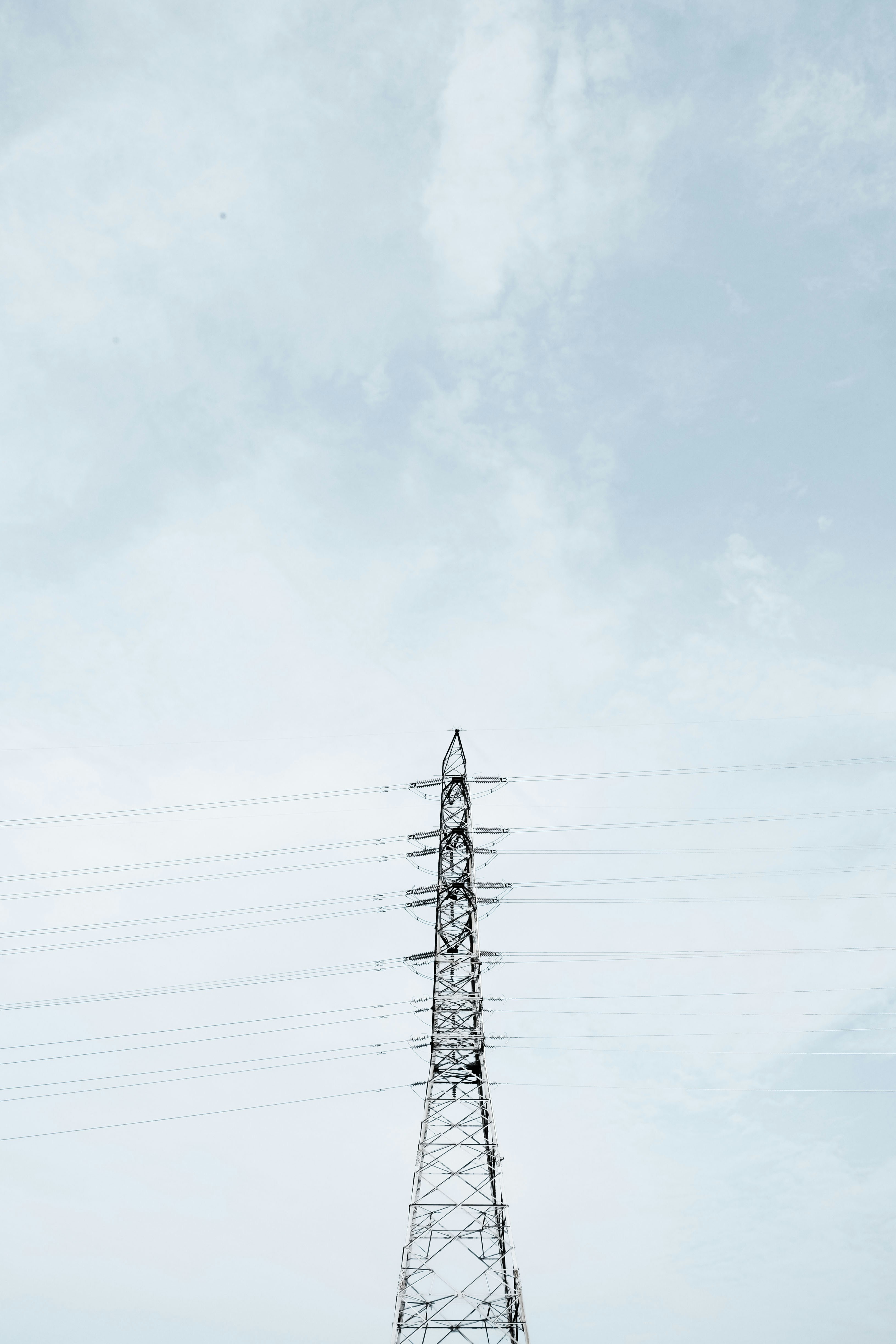 photo-1565838637421-0bd386071a8b?ixid=M3wxMjA3fDB8MXxzZWFyY2h8MTl8fGNvc3RlcyUyMHNpc3RlbWElMjBjYXUlMjBweW1lc3xlbnwwfHx8fDE3NDg0MjU5MTR8MA\u0026ixlib=rb-4.1.0