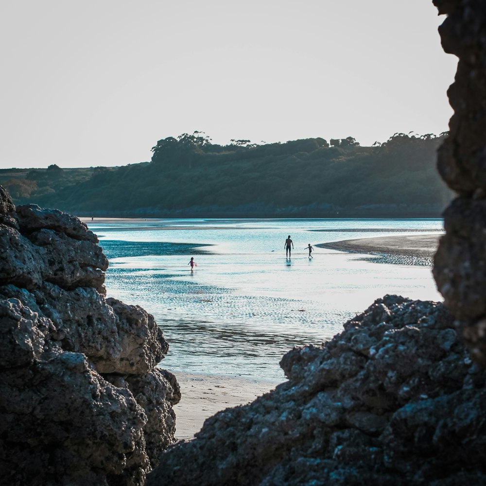 people at the seashore during day