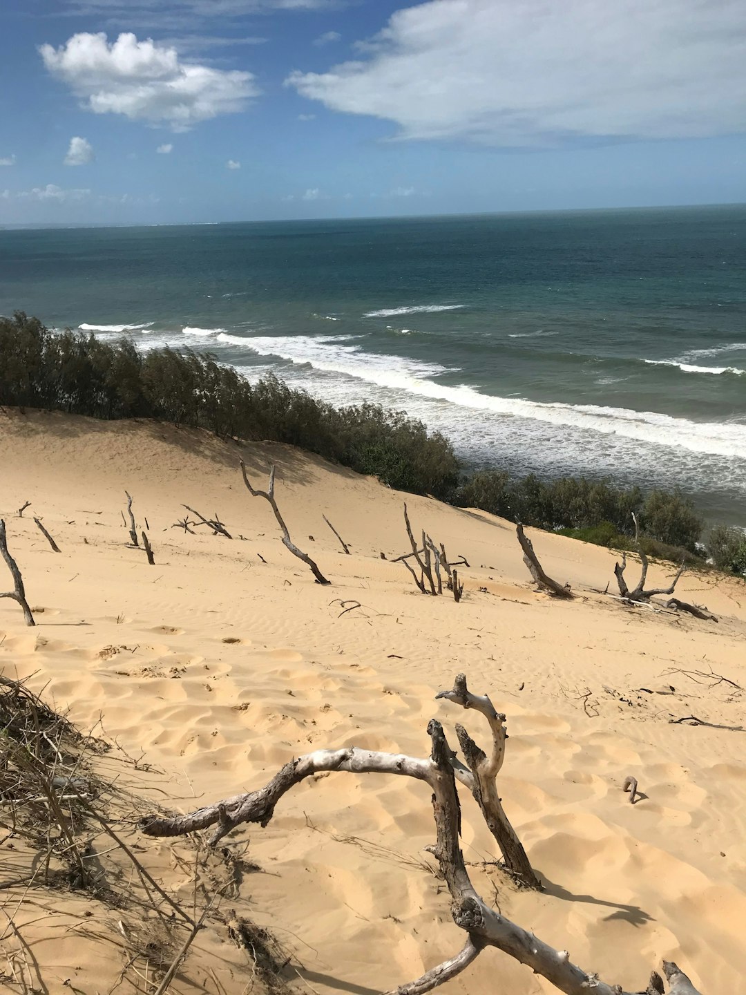 Beach photo spot 47 Carlo Cir Noosa Heads QLD