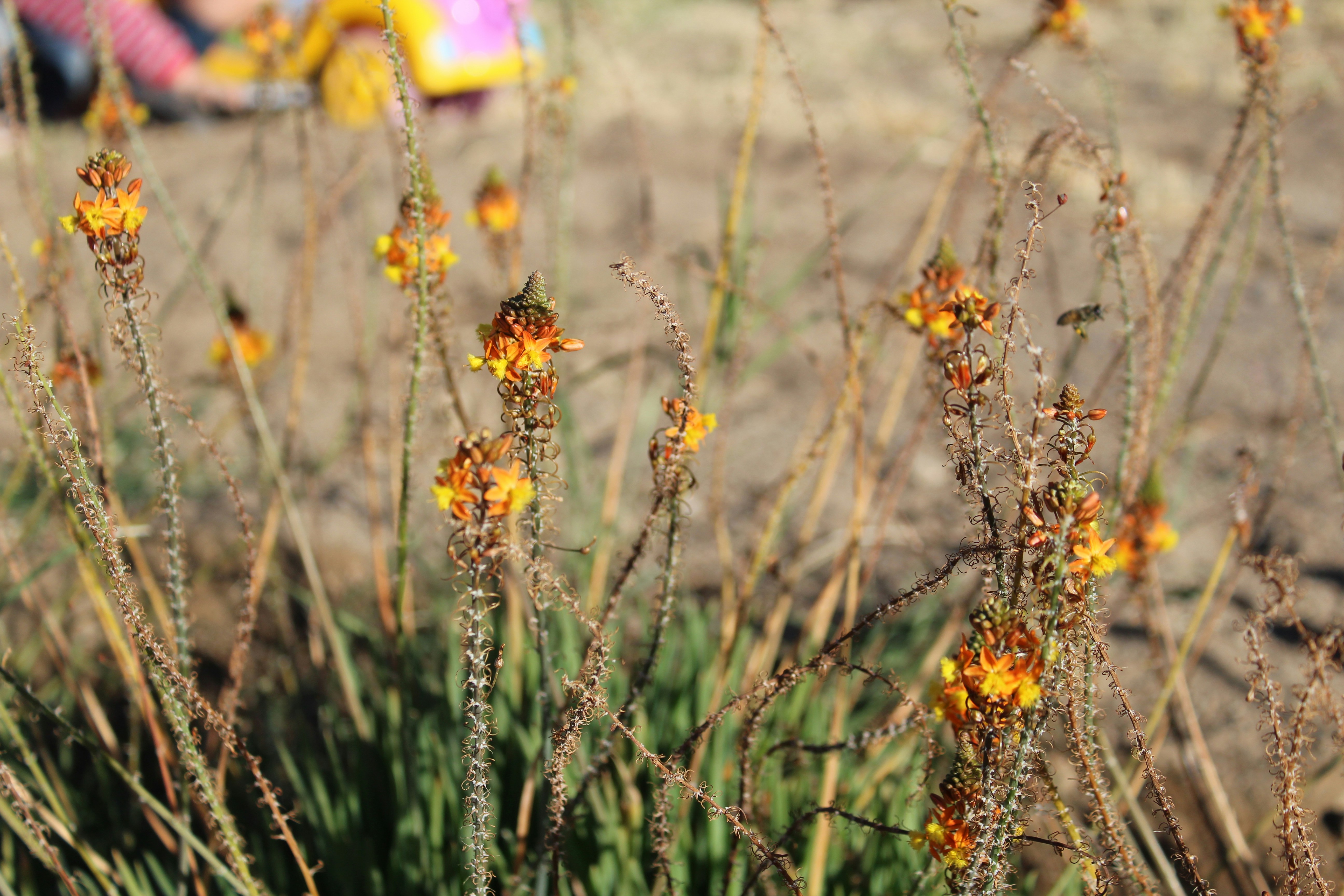 Photo by agustinapaesani