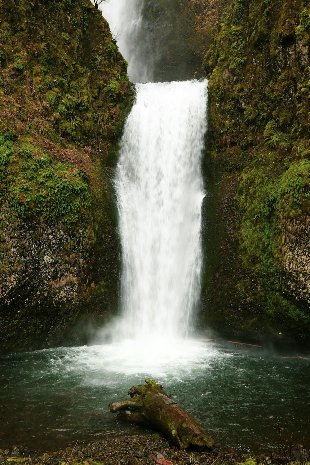 trunk under waterfall at daytime