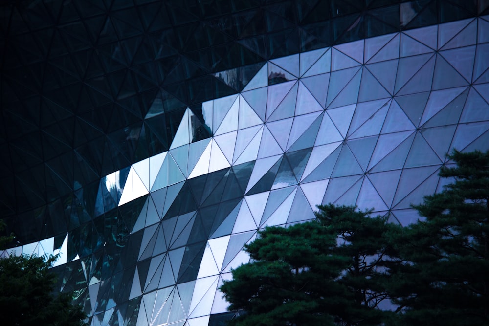 green trees and mirror window building