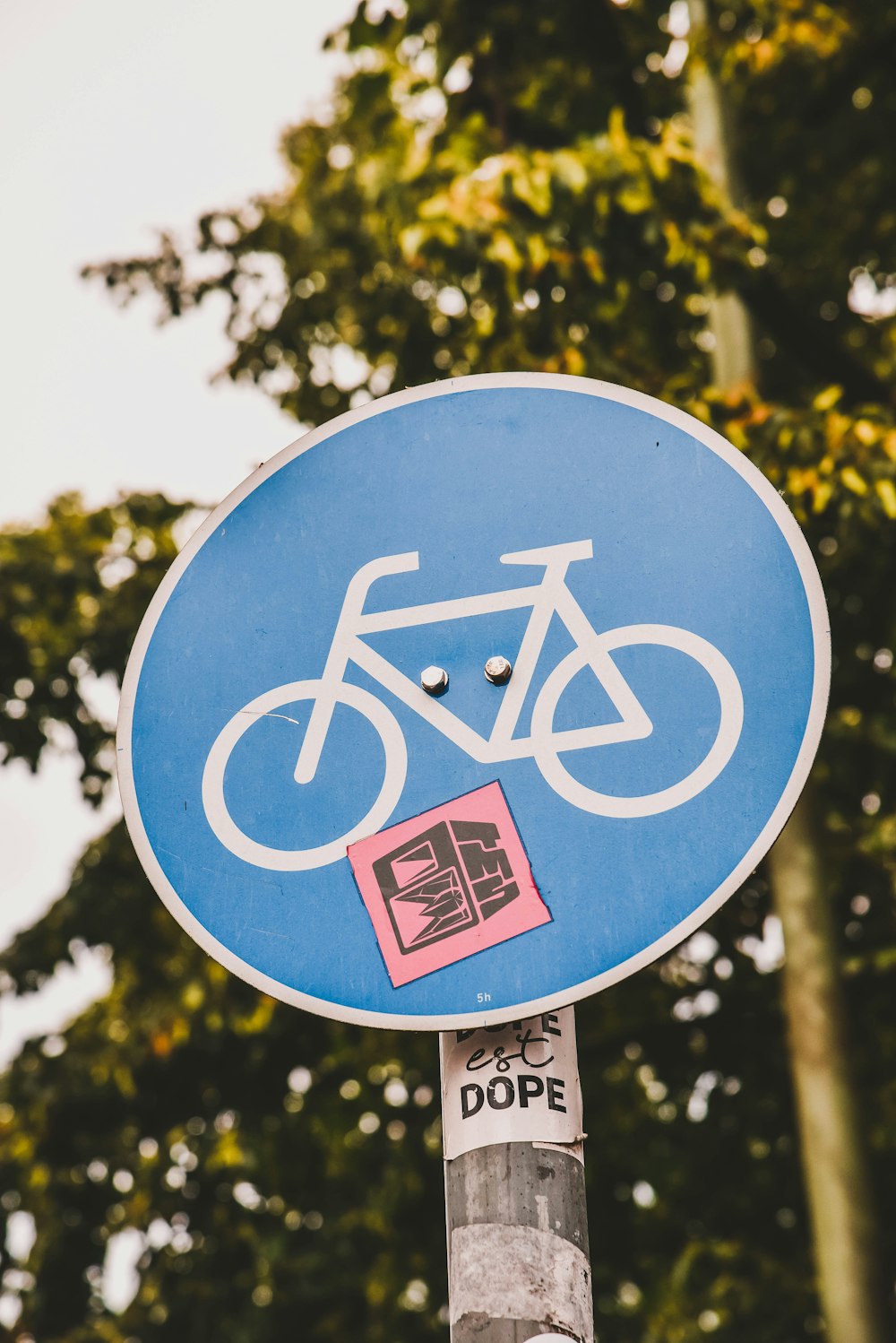 bike lane signage