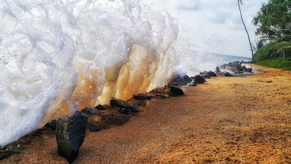 seashore waves