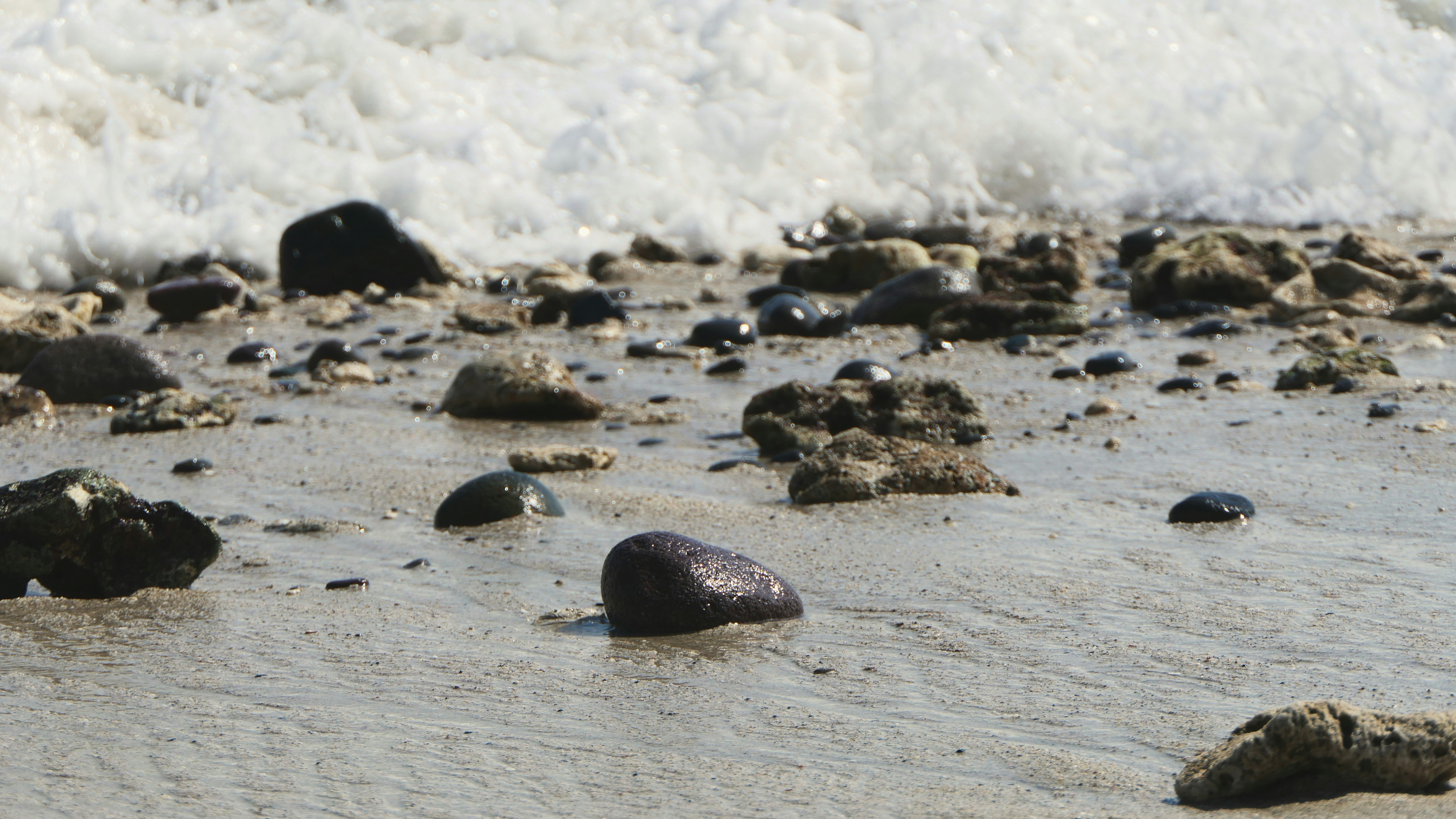 Photo by utsmanmedia