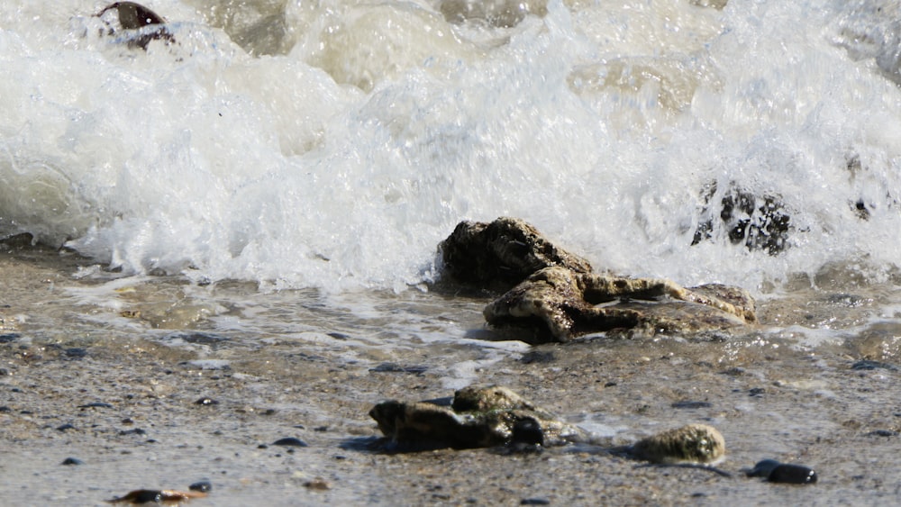 rock formations near body of water