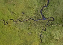a river running through a lush green field
