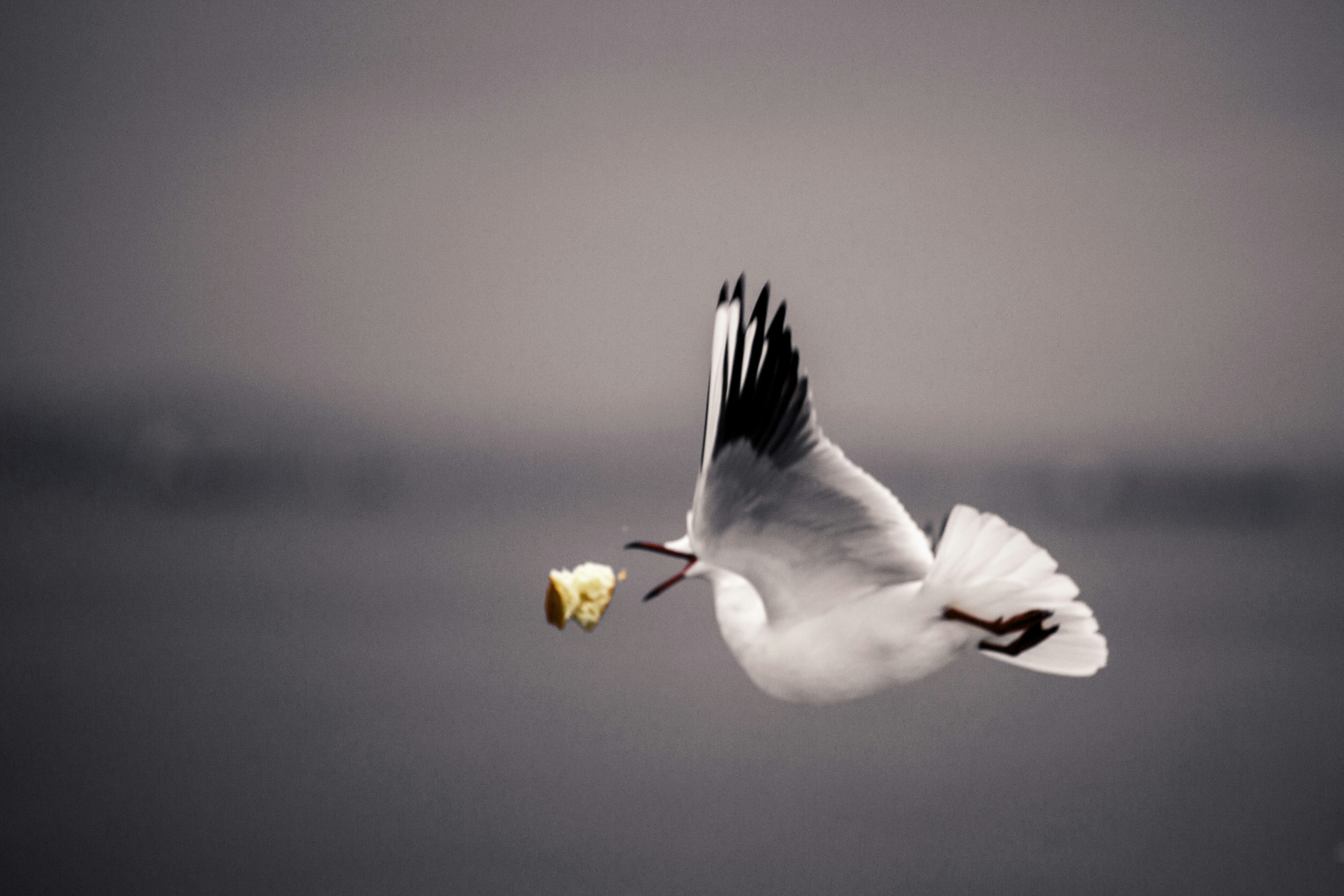 Photo by serhatduygun