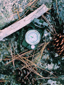 A military-style compass is placed on a rocky surface surrounded by dry pine needles. Two pinecones and a piece of dried wood are also present, adding to the rugged outdoor setting.