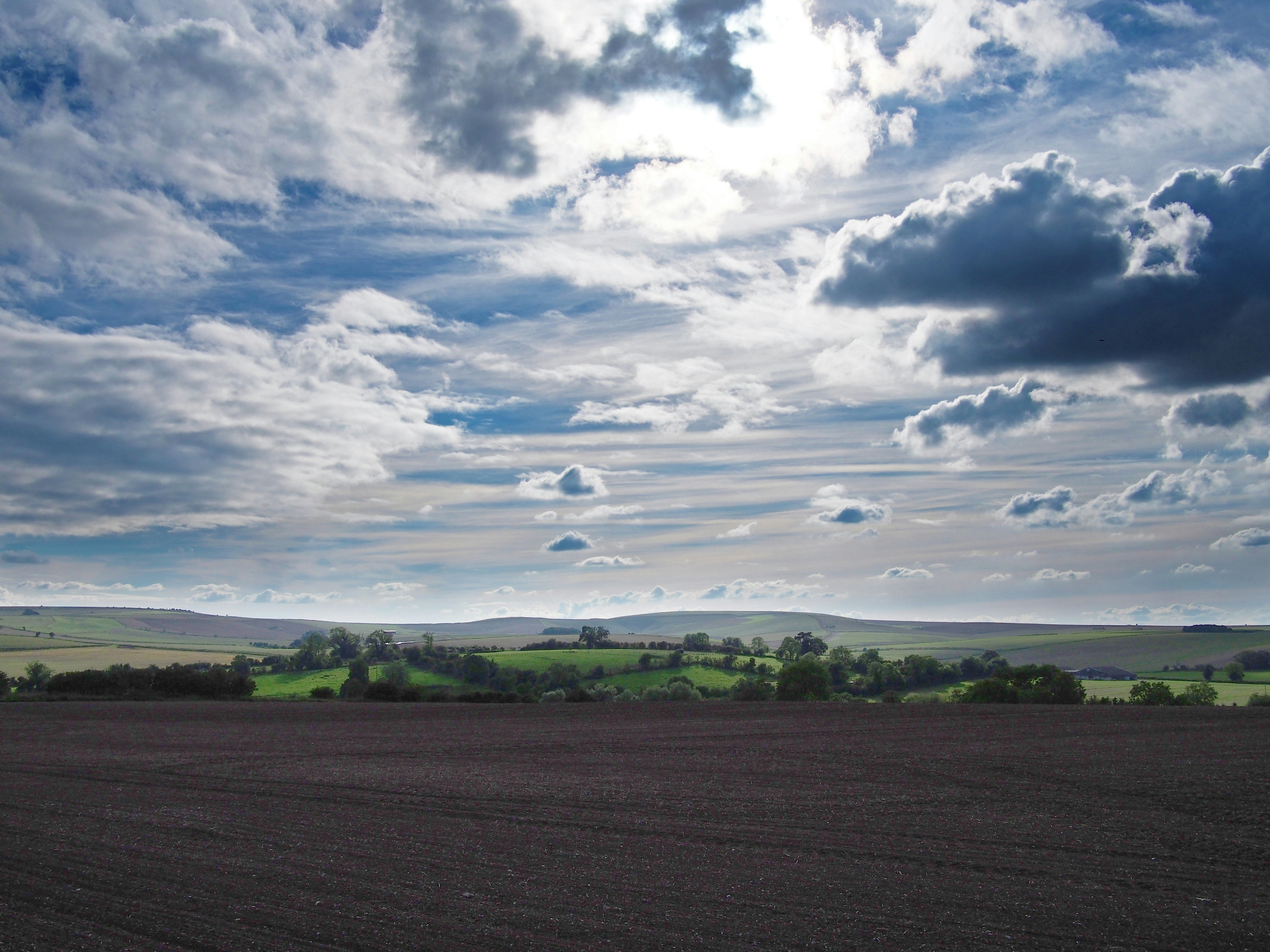 Photo by brett_jordan