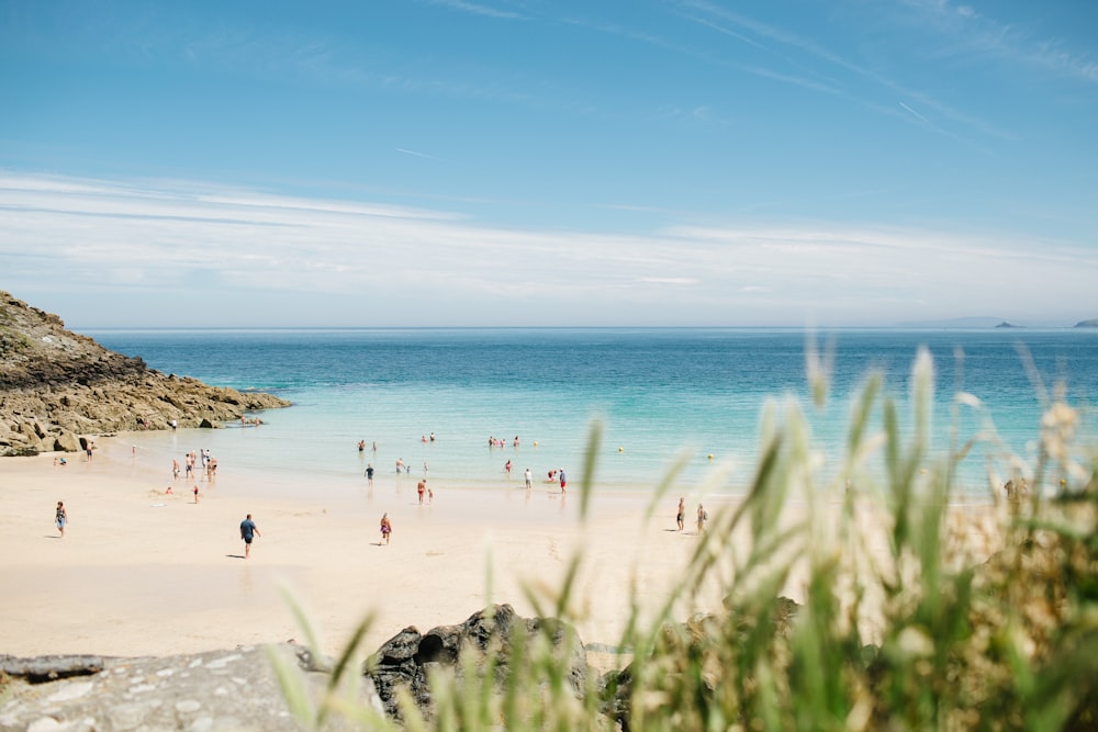 Personnes près du rivage