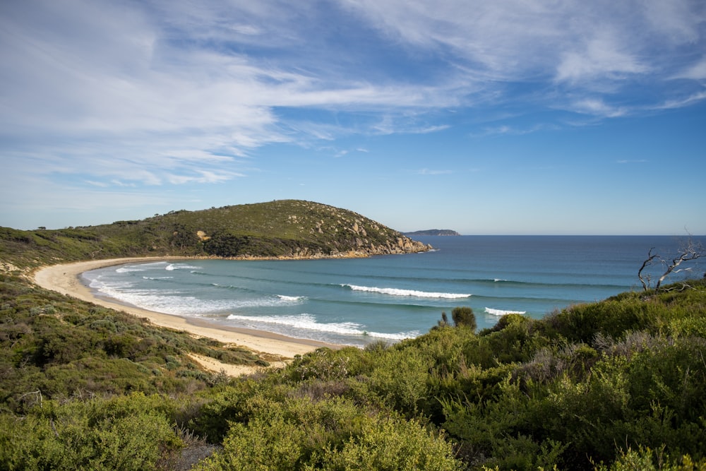 grass and sand seashore during day