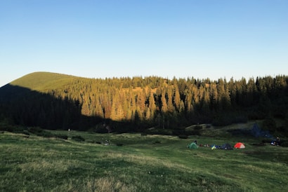 A scenic landscape features a forest of tall pine trees set against a backdrop of rolling hills. The sunlight casts a warm glow on the greenery, creating a contrast between the sunlit and shaded areas. In the foreground, a grassy field is dotted with multiple colorful tents, suggesting a campsite.
