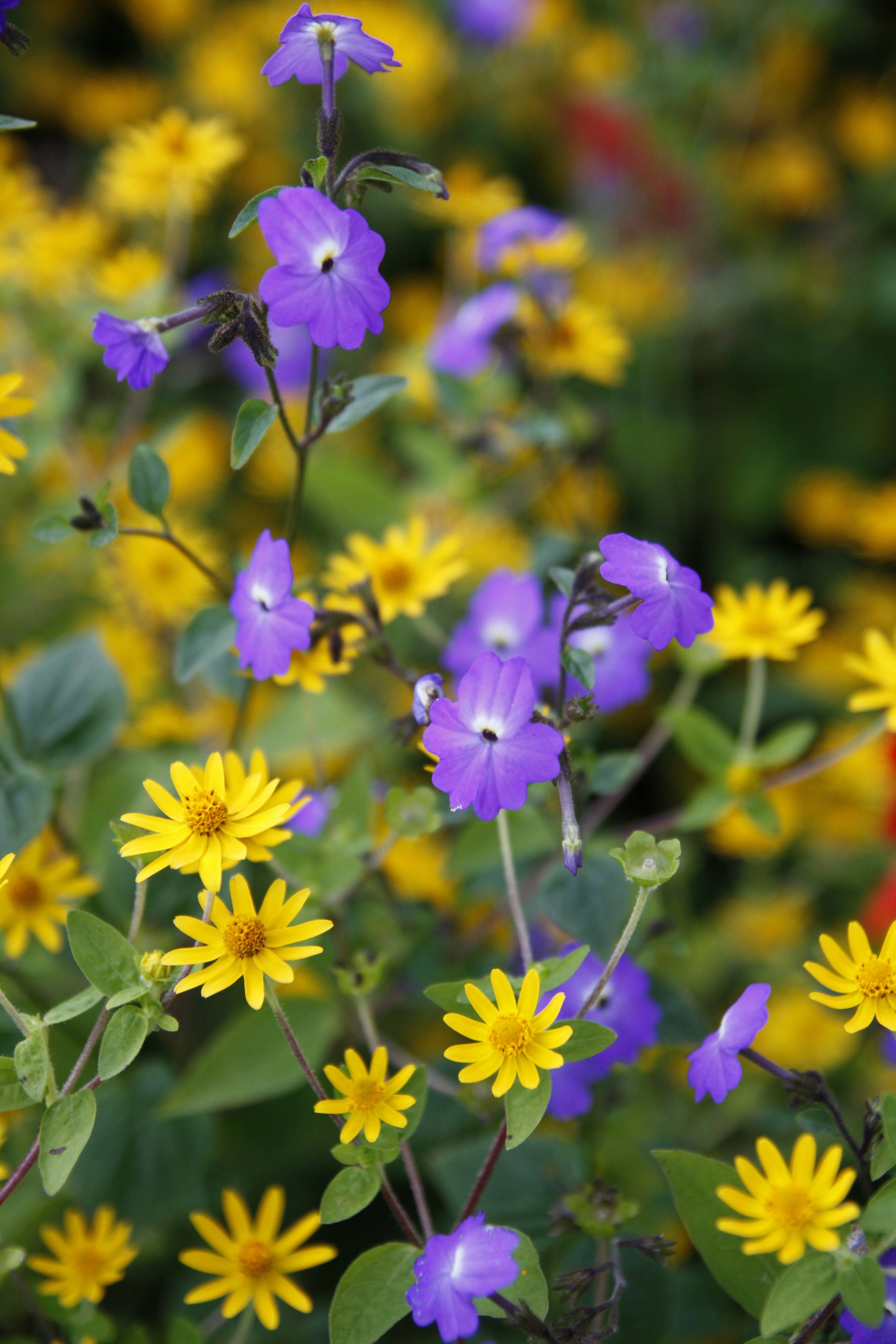 Photo by dangnambinh