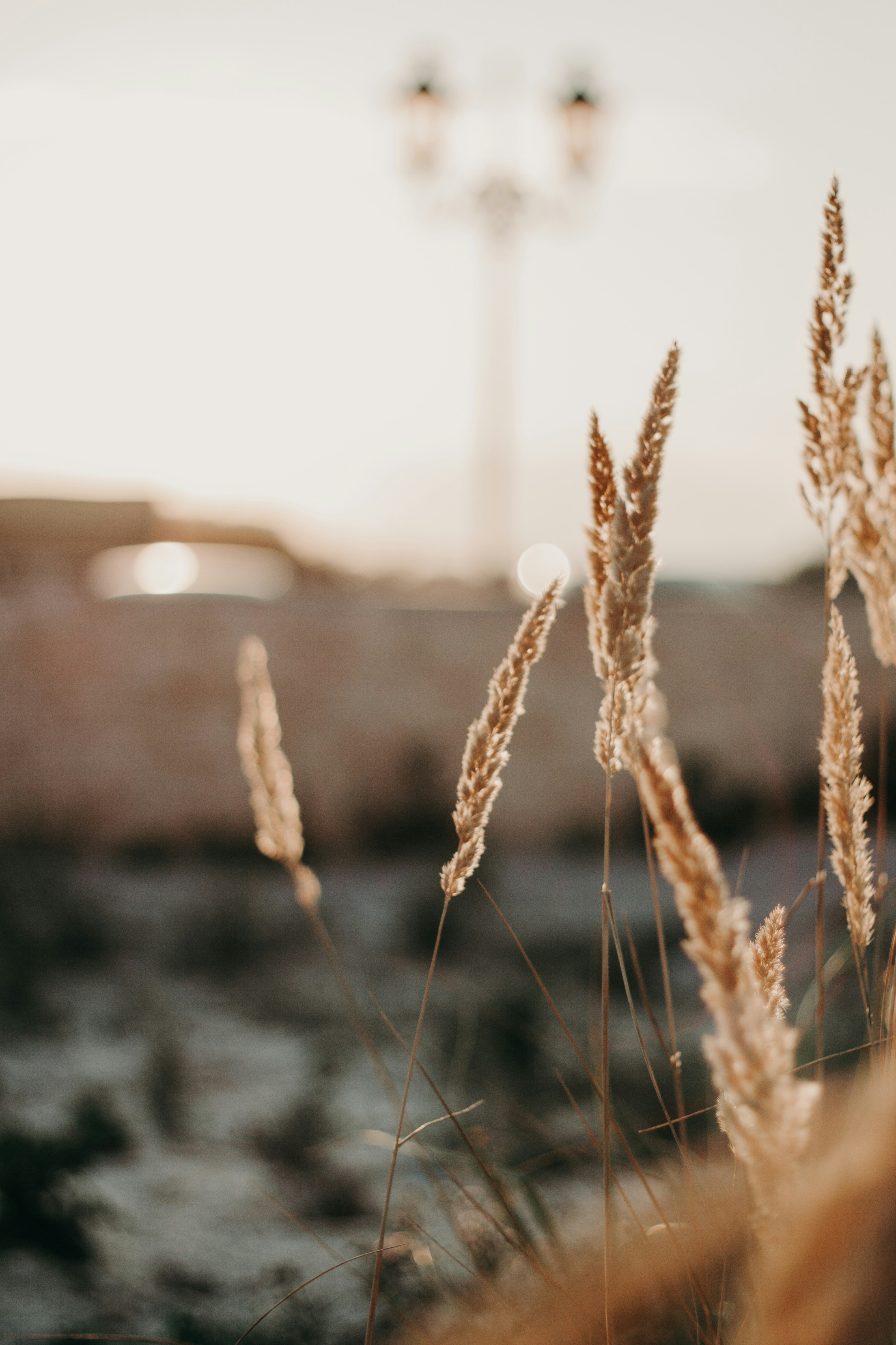 Photo by florinhatmanu