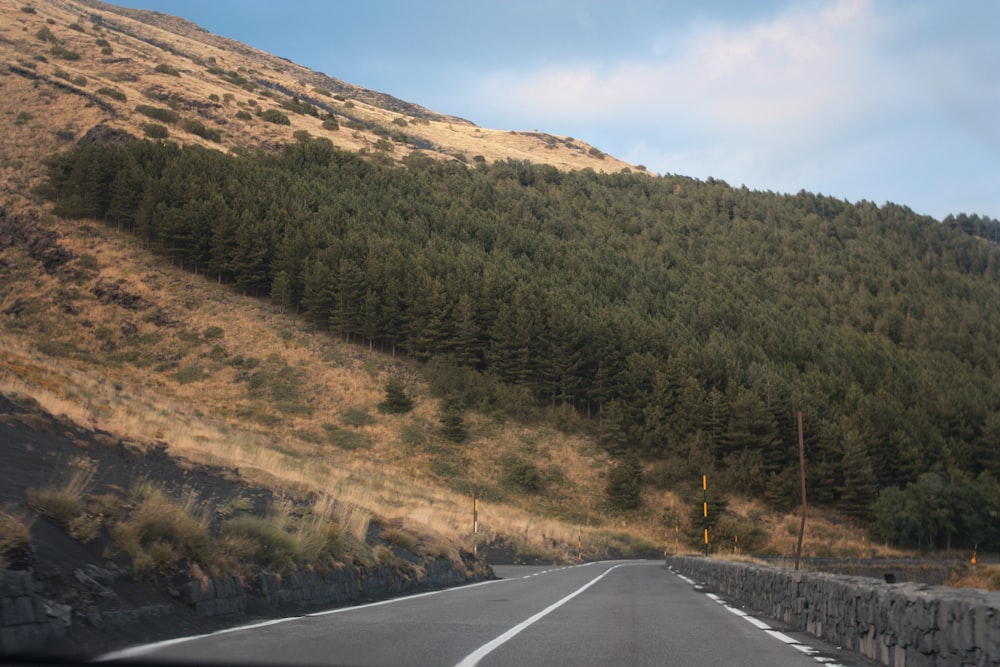 green-leafed trees on brown mountain