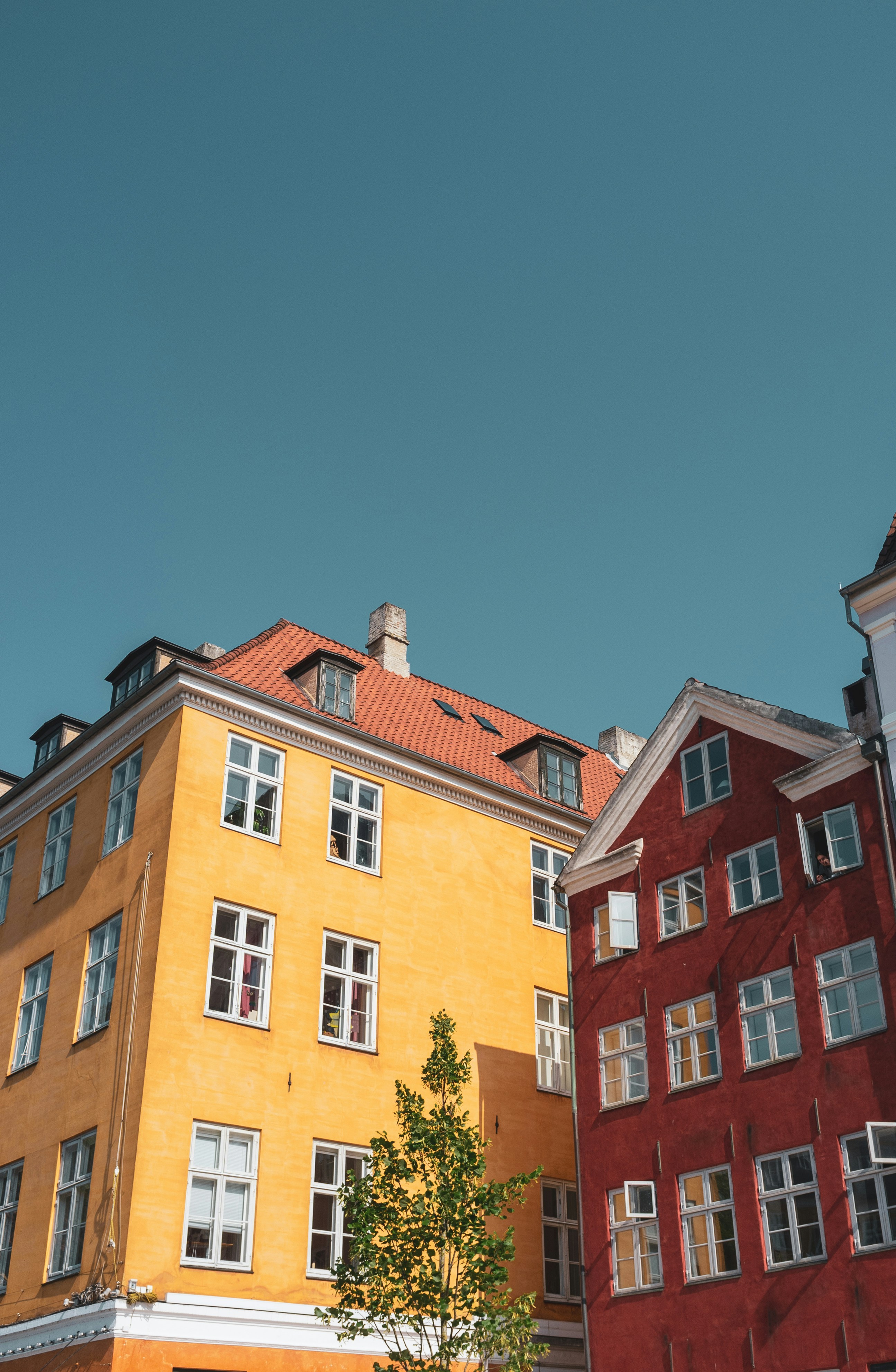 Photo by moisamihai092