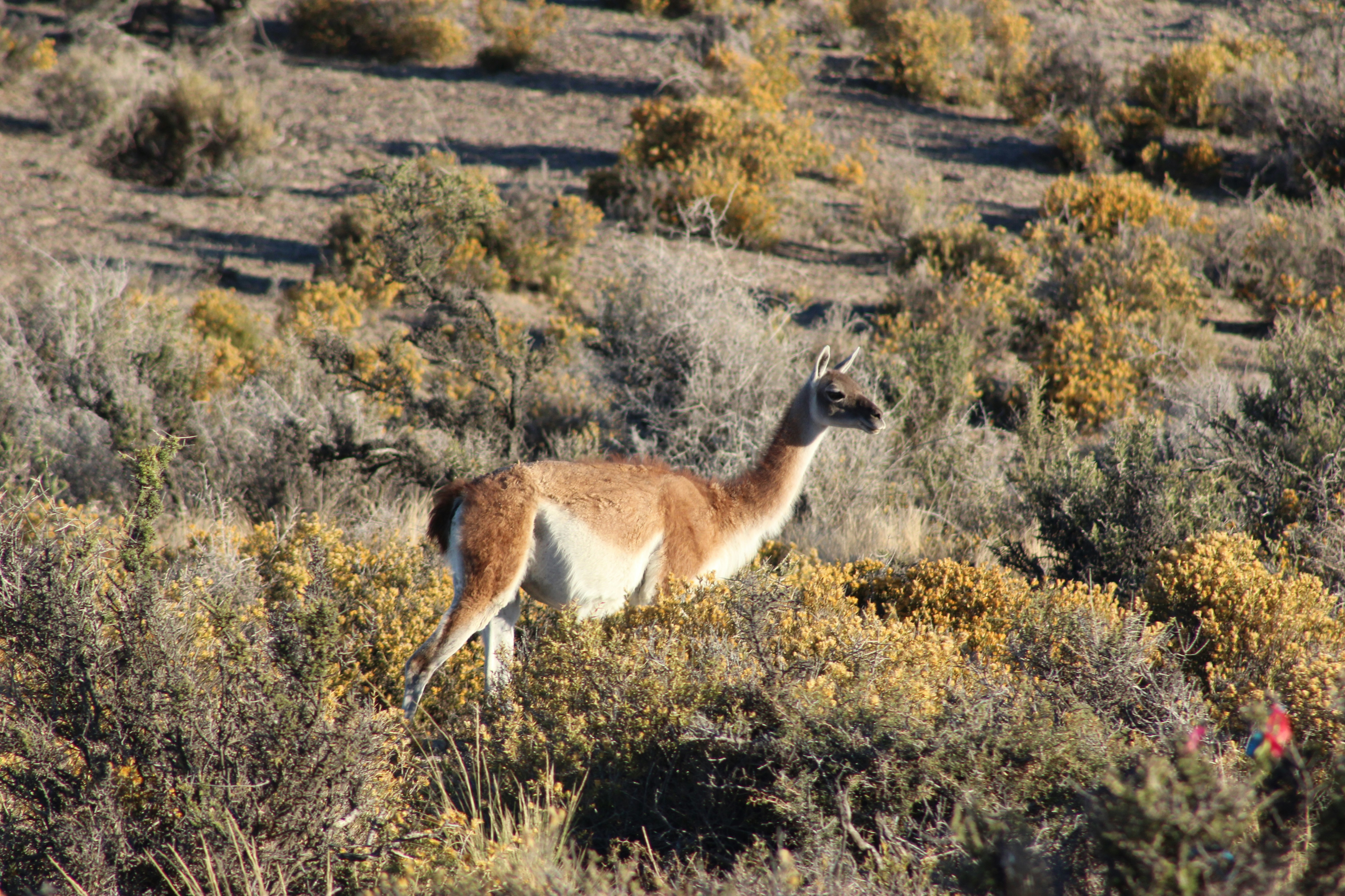 Photo by sergiomar73